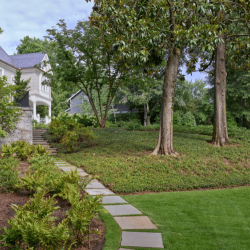 Property Value and Landscape
