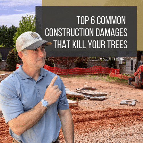 Top 6 construction damages