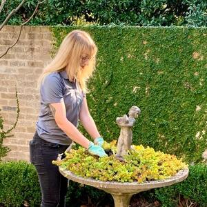 Woman planting succulents in planter with small statue in middle