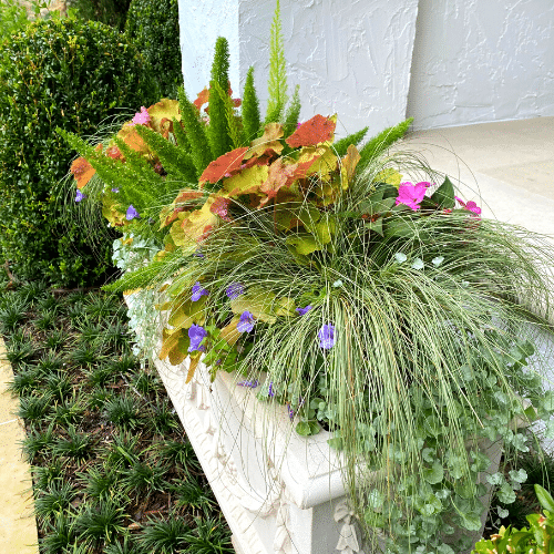 Densely planted cement planter full of colorful flowers