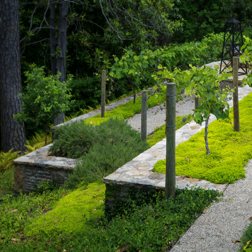 Raised garden bed in terraced garden