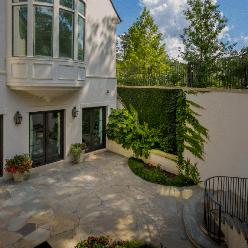 Paved terrace with plants creeping up wall in courtyard